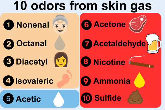 Infographic showing 10 odors from skin gas: nonenal, octanal, diacetyl, isovaleric acid, acetic acid, acetone, acetaldehyde, nicotine, ammonia, and sulfide, with matching icons.