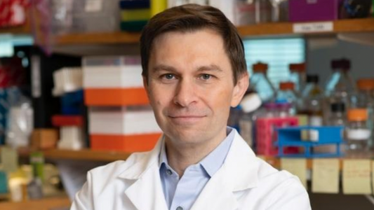The Many Health Benefits of Fisetin