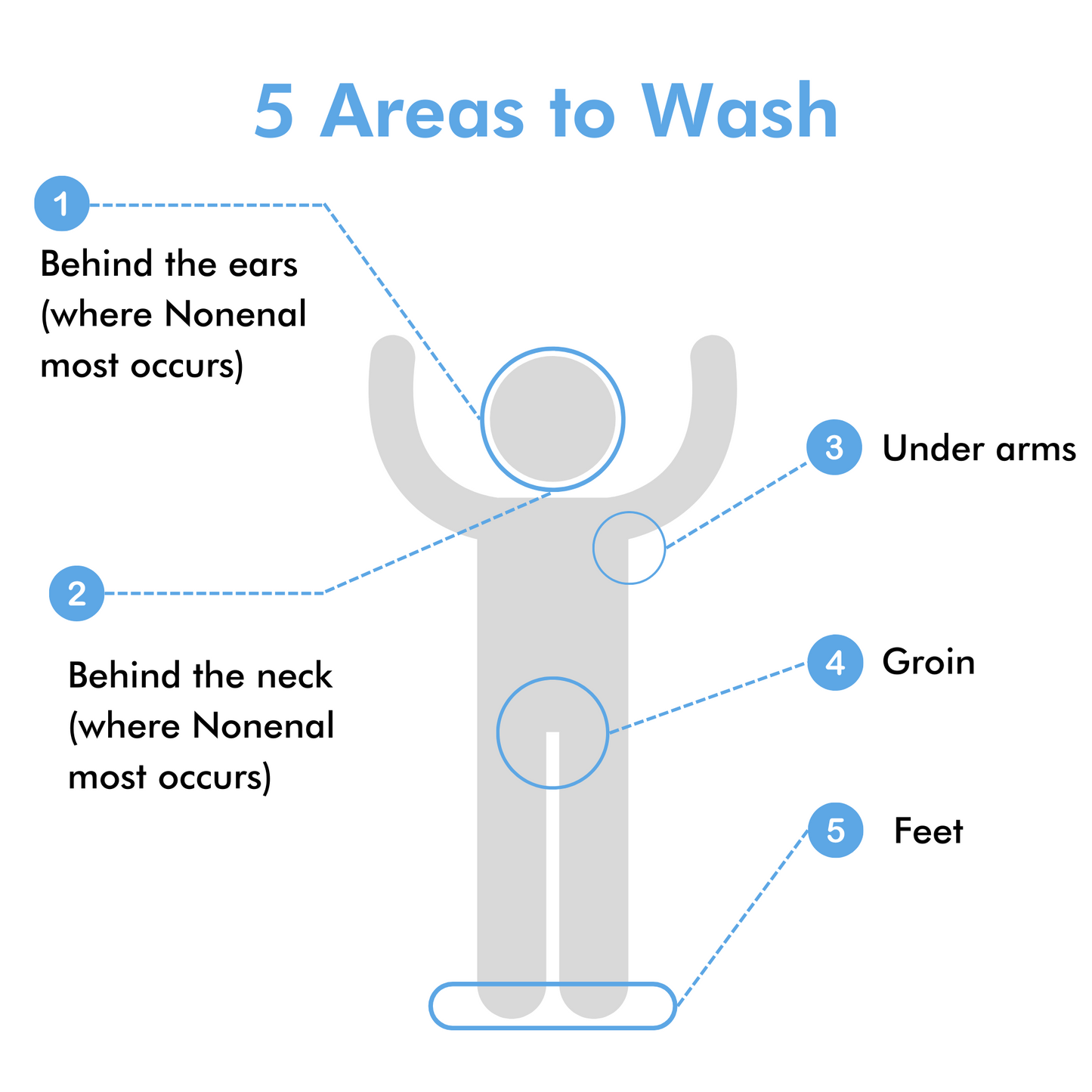 5 most important areas to wash daily.