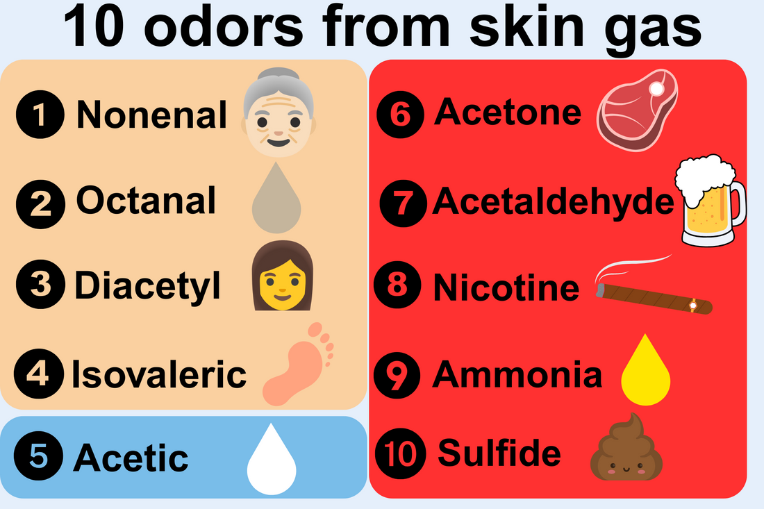 Infographic showing 10 odors from skin gas: nonenal, octanal, diacetyl, isovaleric acid, acetic acid, acetone, acetaldehyde, nicotine, ammonia, and sulfide, with matching icons.