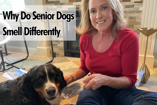 Why Older Dogs Have Nonenal Odor Too: Free Guide to Help Eliminate Aging Odor in Dogs