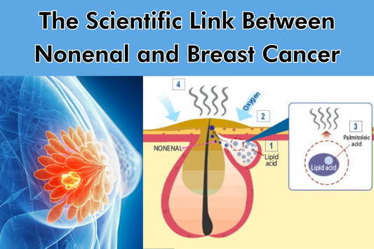 Blog post thumbnail: Exploring the scientific link between nonenal and breast cancer, featuring research insights and health implications.