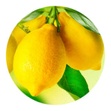 Citrus Extract