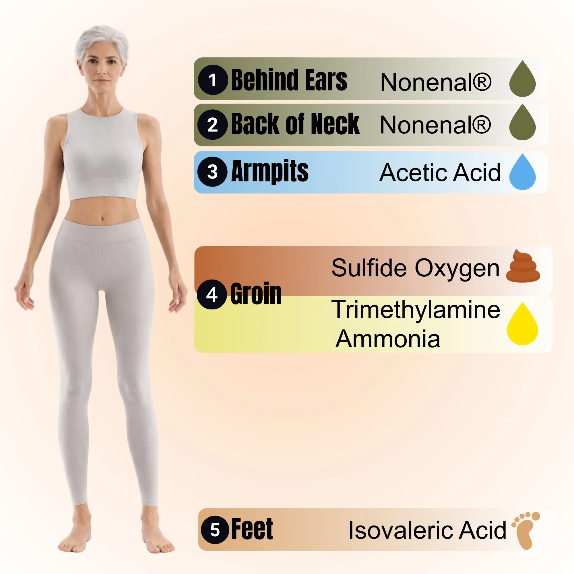 Mirai Clinical Illustration showing five key body areas to wash for complete odor control using persimmon body wash