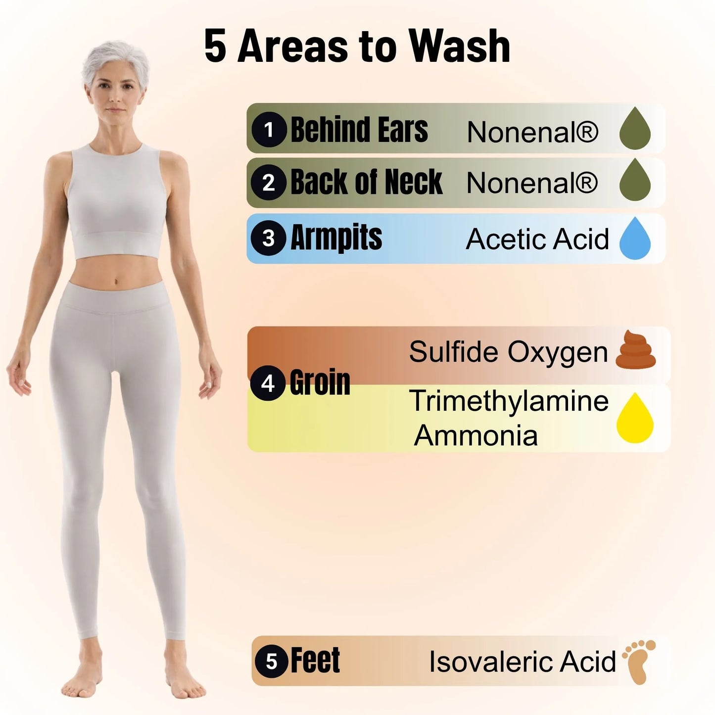 Mirai Clinical Illustration showing five key body areas to wash for complete odor control using persimmon body wash