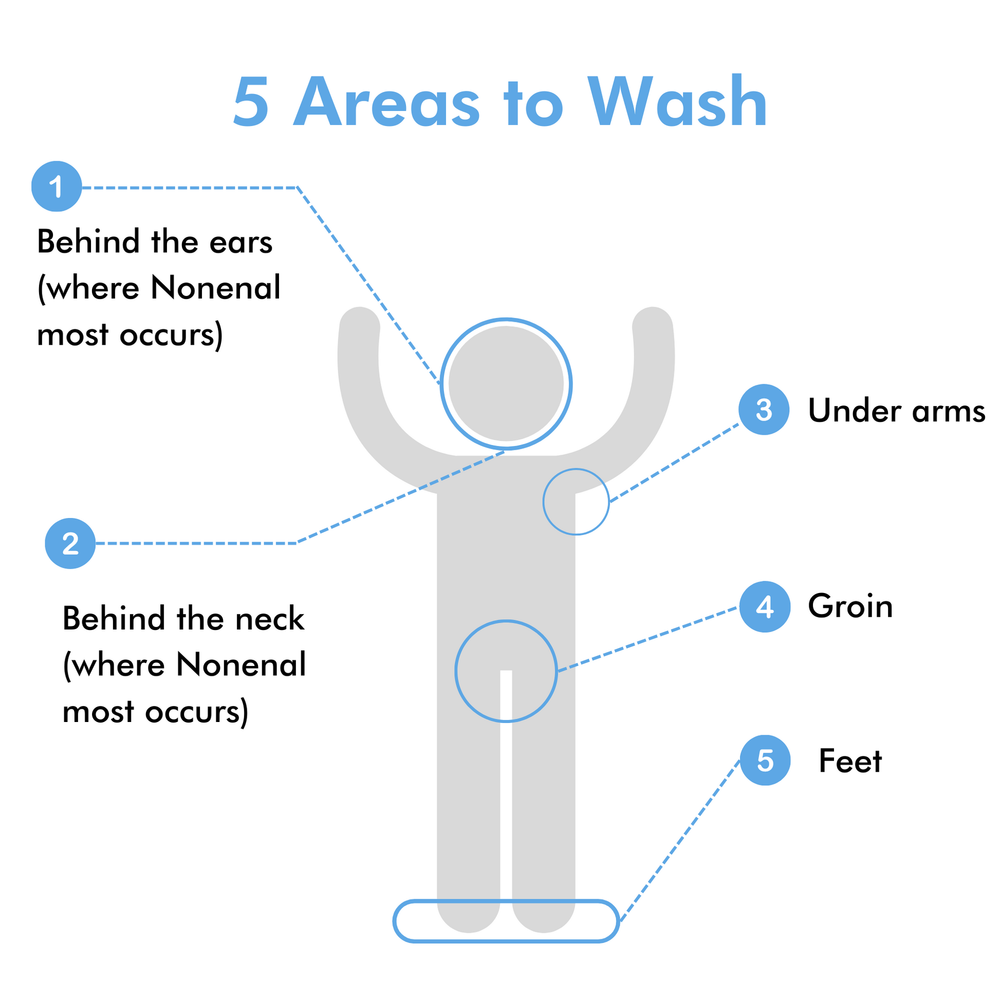 5 most important areas to wash daily. 